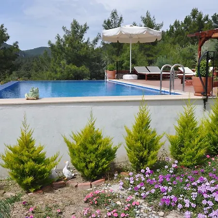 Horizon Villa